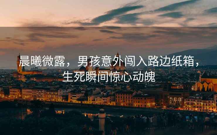 晨曦微露，男孩意外闖入路邊紙箱，生死瞬間驚心動魄