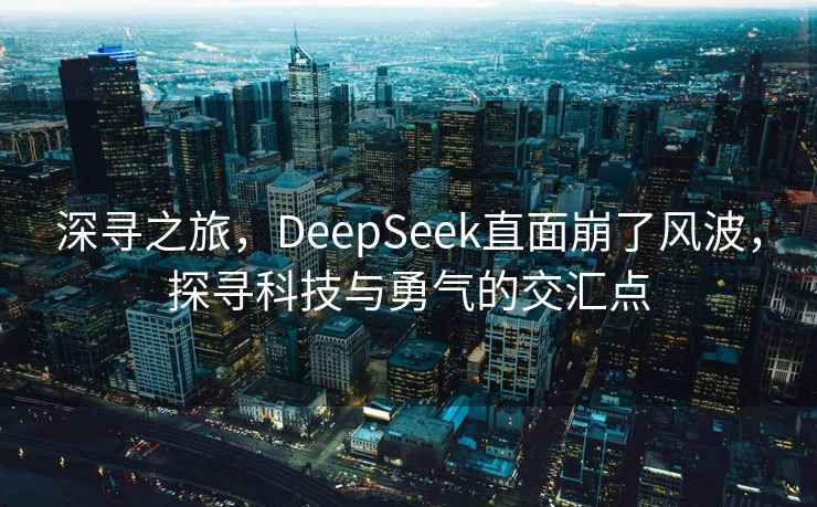 深尋之旅，DeepSeek直面崩了風(fēng)波，探尋科技與勇氣的交匯點