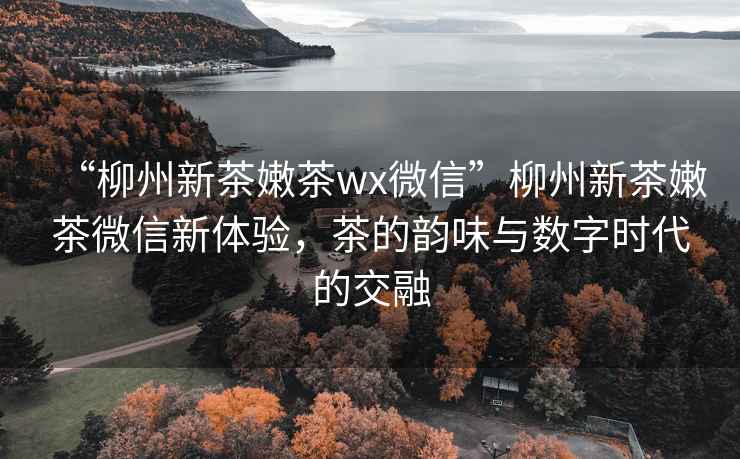 “柳州新茶嫩茶wx微信”柳州新茶嫩茶微信新體驗，茶的韻味與數(shù)字時代的交融