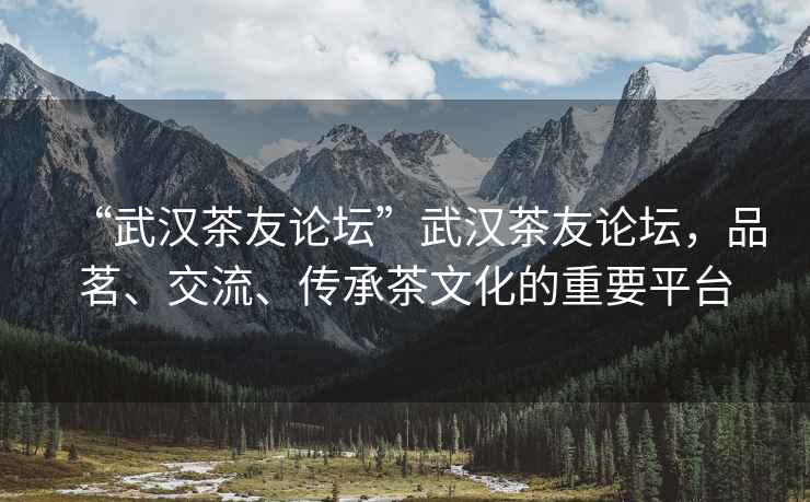 “武漢茶友論壇”武漢茶友論壇，品茗、交流、傳承茶文化的重要平臺(tái)