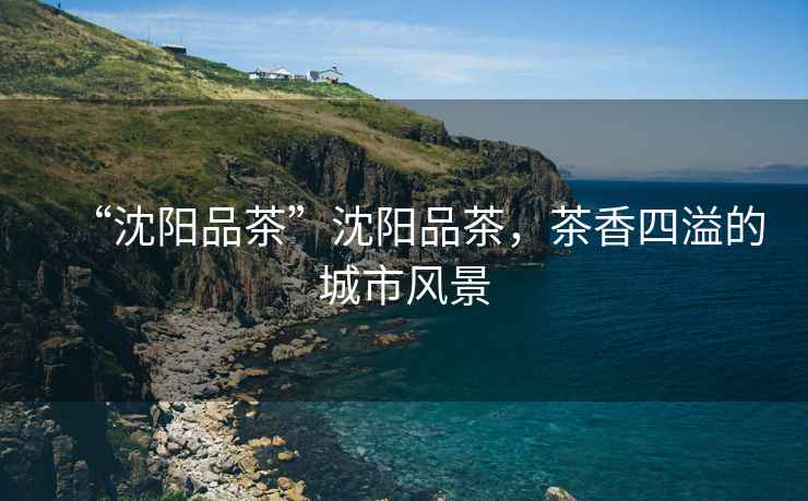 “沈陽品茶”沈陽品茶，茶香四溢的城市風(fēng)景