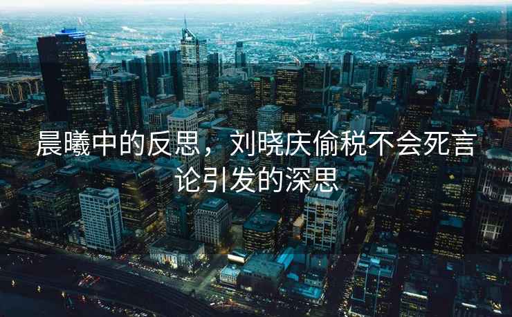 晨曦中的反思，劉曉慶偷稅不會死言論引發(fā)的深思