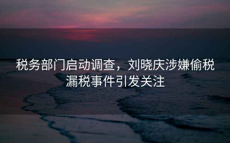 稅務(wù)部門啟動(dòng)調(diào)查，劉曉慶涉嫌偷稅漏稅事件引發(fā)關(guān)注