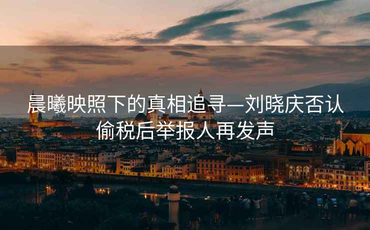 晨曦映照下的真相追尋—劉曉慶否認偷稅后舉報人再發(fā)聲