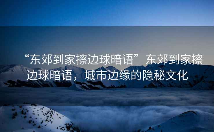 “東郊到家擦邊球暗語”東郊到家擦邊球暗語，城市邊緣的隱秘文化