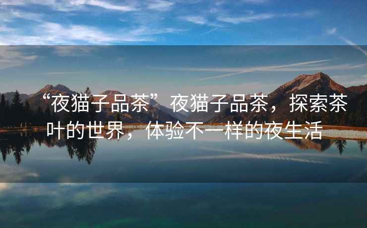 “夜貓子品茶”夜貓子品茶，探索茶葉的世界，體驗(yàn)不一樣的夜生活