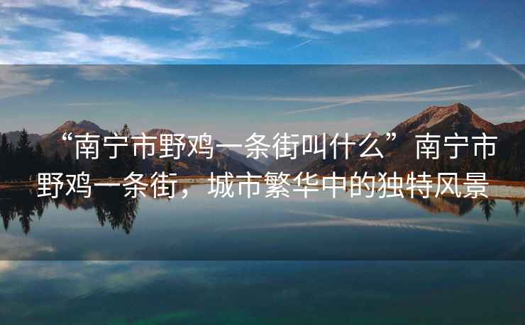 “南寧市野雞一條街叫什么”南寧市野雞一條街，城市繁華中的獨特風景