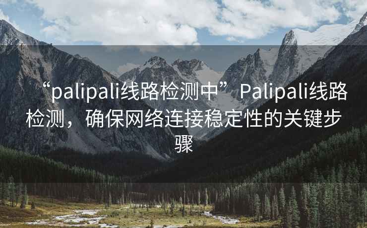 “palipali線路檢測中”Palipali線路檢測，確保網(wǎng)絡(luò)連接穩(wěn)定性的關(guān)鍵步驟