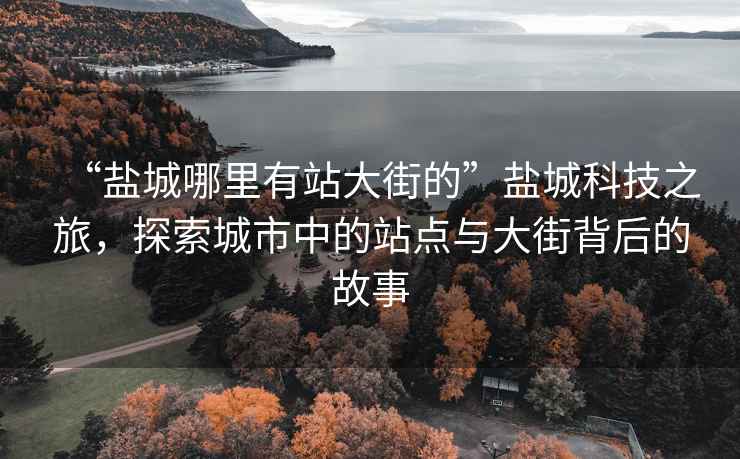 “鹽城哪里有站大街的”鹽城科技之旅，探索城市中的站點與大街背后的故事