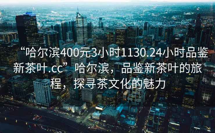 “哈爾濱400元3小時(shí)1130.24小時(shí)品鑒新茶葉.cc”哈爾濱，品鑒新茶葉的旅程，探尋茶文化的魅力