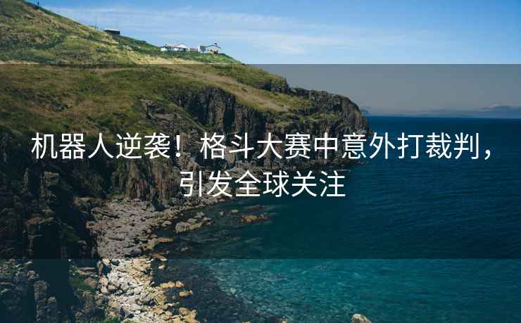 機(jī)器人逆襲！格斗大賽中意外打裁判，引發(fā)全球關(guān)注
