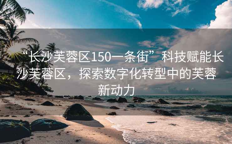 “長沙芙蓉區(qū)150一條街”科技賦能長沙芙蓉區(qū)，探索數(shù)字化轉型中的芙蓉新動力
