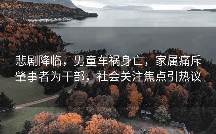 悲劇降臨，男童車禍身亡，家屬痛斥肇事者為干部，社會關(guān)注焦點引熱議