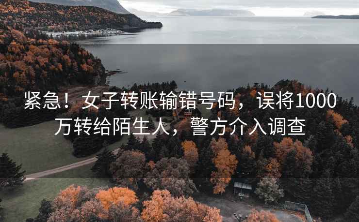 緊急！女子轉賬輸錯號碼，誤將1000萬轉給陌生人，警方介入調查