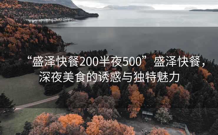 “盛澤快餐200半夜500”盛澤快餐，深夜美食的誘惑與獨特魅力