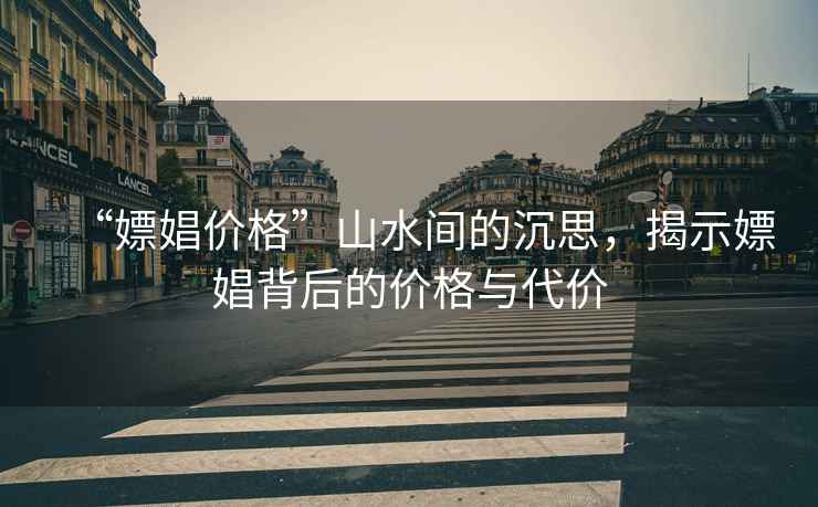 “嫖娼價(jià)格”山水間的沉思，揭示嫖娼背后的價(jià)格與代價(jià)