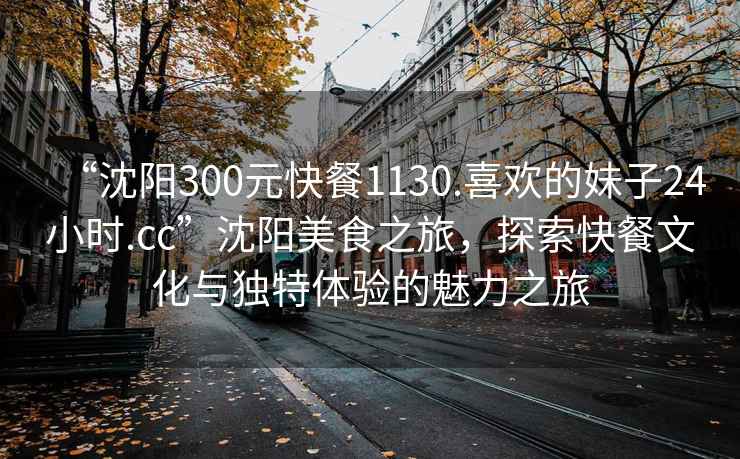 “沈陽300元快餐1130.喜歡的妹子24小時.cc”沈陽美食之旅，探索快餐文化與獨特體驗的魅力之旅