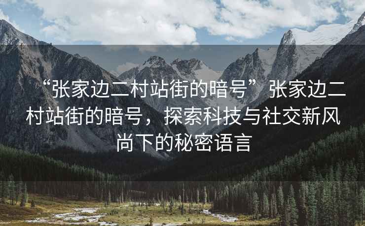 “張家邊二村站街的暗號(hào)”張家邊二村站街的暗號(hào)，探索科技與社交新風(fēng)尚下的秘密語言