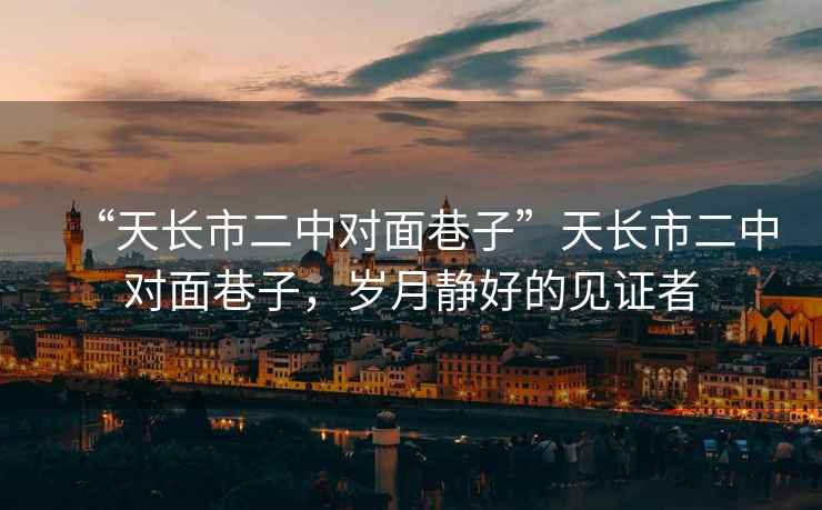 “天長市二中對面巷子”天長市二中對面巷子，歲月靜好的見證者