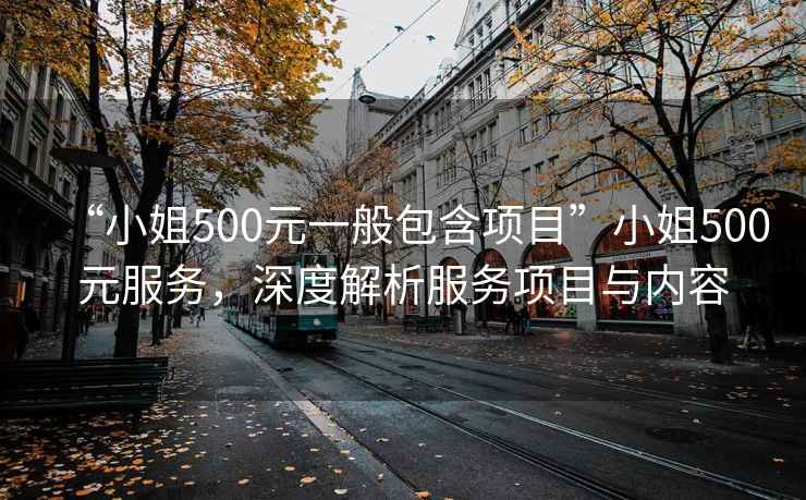 “小姐500元一般包含項(xiàng)目”小姐500元服務(wù)，深度解析服務(wù)項(xiàng)目與內(nèi)容
