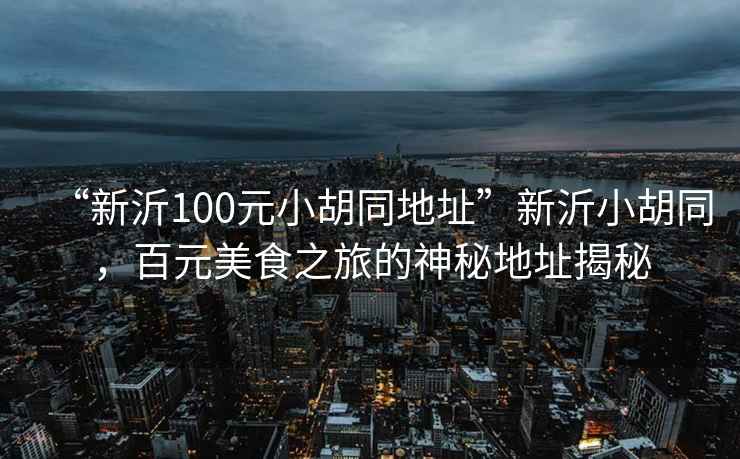 “新沂100元小胡同地址”新沂小胡同，百元美食之旅的神秘地址揭秘
