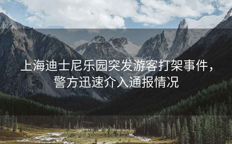 上海迪士尼樂園突發(fā)游客打架事件，警方迅速介入通報情況
