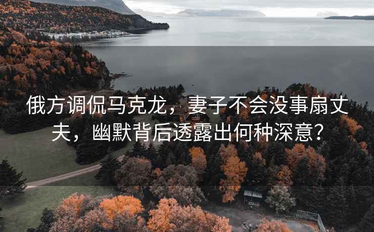 俄方調(diào)侃馬克龍，妻子不會沒事扇丈夫，幽默背后透露出何種深意？