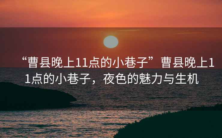 “曹縣晚上11點(diǎn)的小巷子”曹縣晚上11點(diǎn)的小巷子，夜色的魅力與生機(jī)