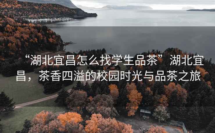 “湖北宜昌怎么找學(xué)生品茶”湖北宜昌，茶香四溢的校園時(shí)光與品茶之旅
