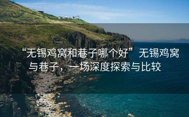 “無錫雞窩和巷子哪個好”無錫雞窩與巷子，一場深度探索與比較
