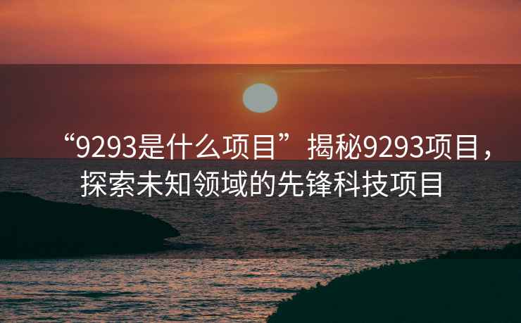 “9293是什么項目”揭秘9293項目，探索未知領(lǐng)域的先鋒科技項目