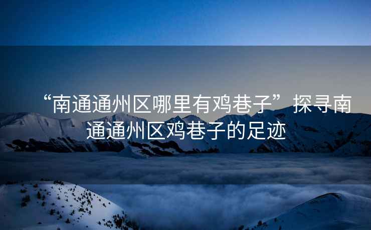“南通通州區(qū)哪里有雞巷子”探尋南通通州區(qū)雞巷子的足跡