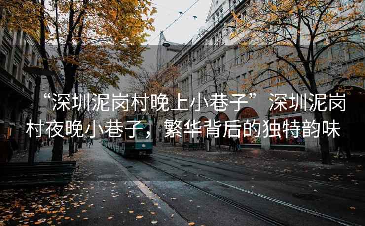 “深圳泥崗村晚上小巷子”深圳泥崗村夜晚小巷子，繁華背后的獨(dú)特韻味