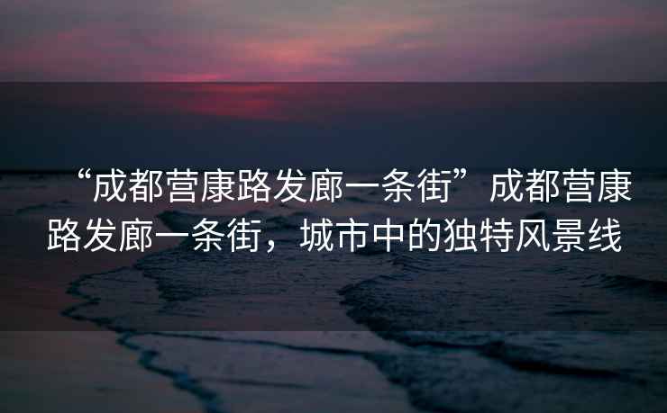 “成都營康路發(fā)廊一條街”成都營康路發(fā)廊一條街，城市中的獨特風(fēng)景線