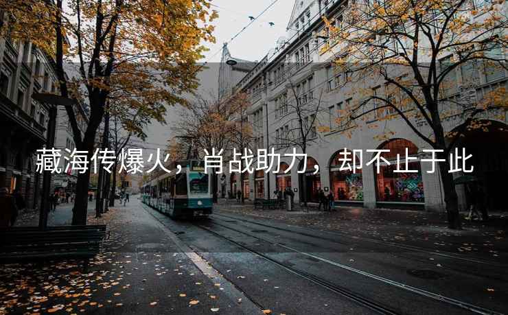 藏海傳爆火，肖戰(zhàn)助力，卻不止于此