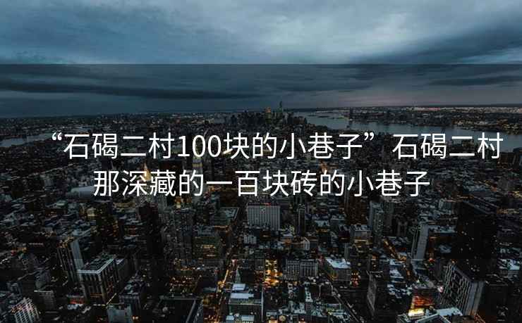 “石碣二村100塊的小巷子”石碣二村那深藏的一百塊磚的小巷子