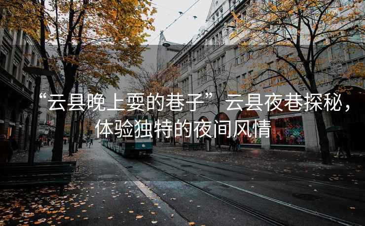 “云縣晚上耍的巷子”云縣夜巷探秘，體驗獨特的夜間風(fēng)情