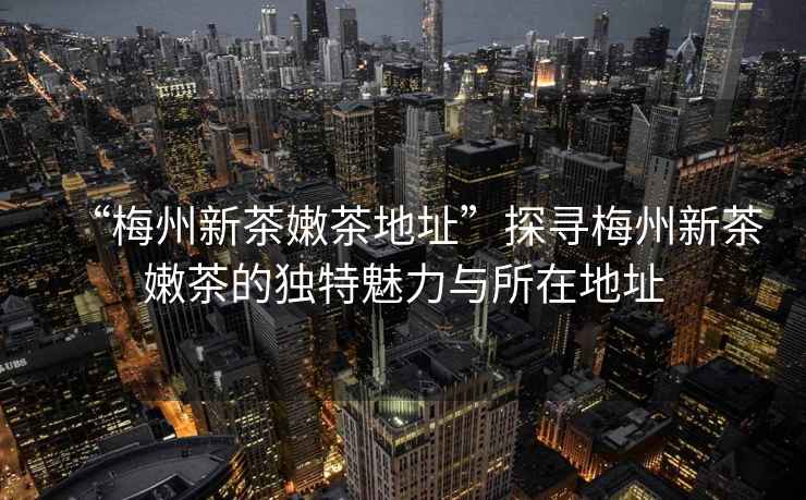 “梅州新茶嫩茶地址”探尋梅州新茶嫩茶的獨特魅力與所在地址