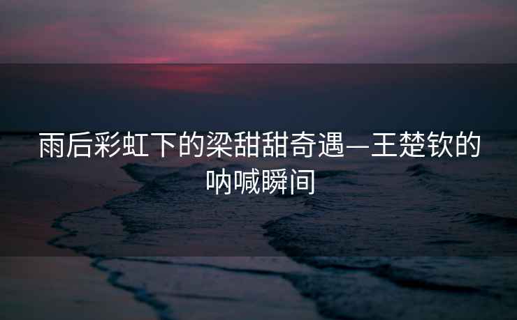 雨后彩虹下的梁甜甜奇遇—王楚欽的吶喊瞬間