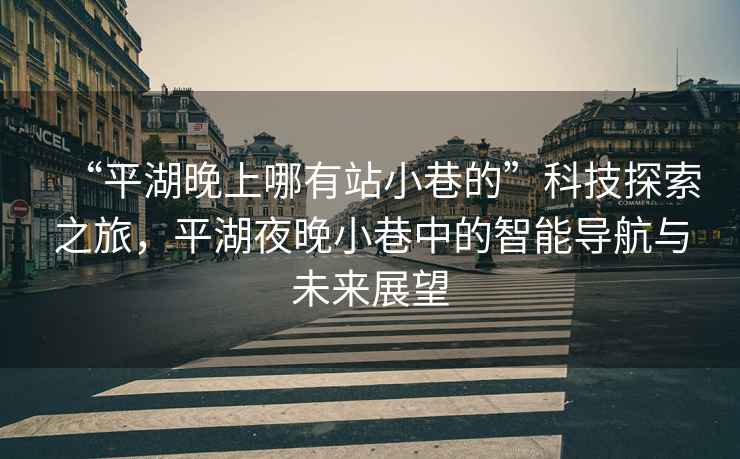 “平湖晚上哪有站小巷的”科技探索之旅，平湖夜晚小巷中的智能導(dǎo)航與未來展望