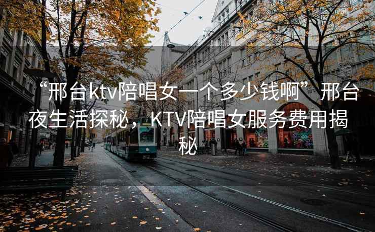“邢臺ktv陪唱女一個多少錢啊”邢臺夜生活探秘，KTV陪唱女服務(wù)費用揭秘