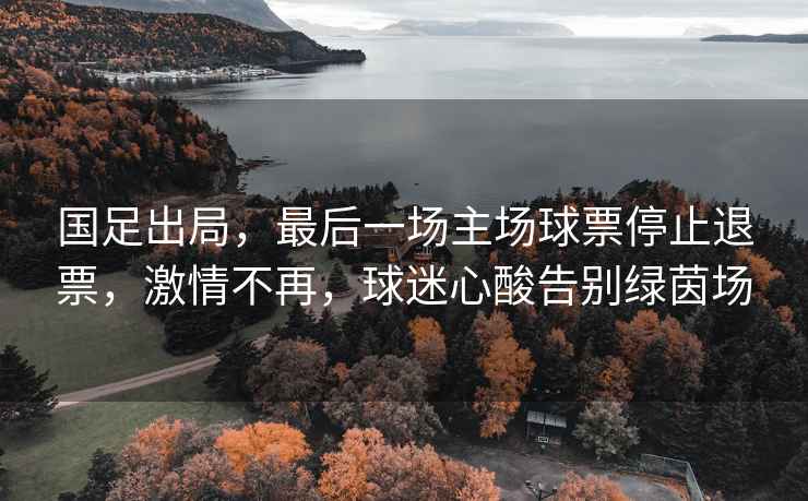 國足出局，最后一場主場球票停止退票，激情不再，球迷心酸告別綠茵場