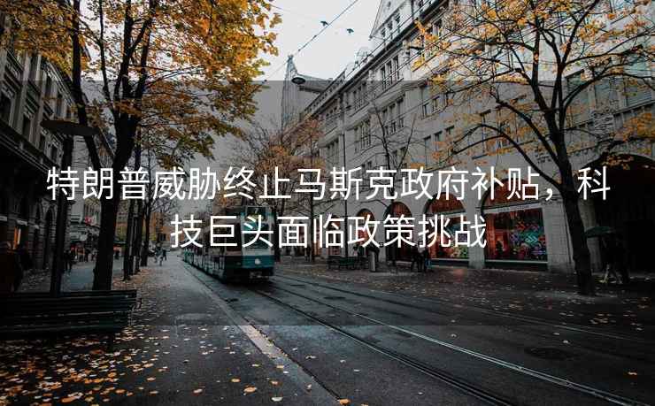 特朗普威脅終止馬斯克政府補貼，科技巨頭面臨政策挑戰(zhàn)