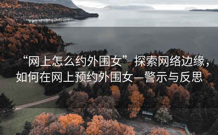 “網(wǎng)上怎么約外圍女”探索網(wǎng)絡(luò)邊緣，如何在網(wǎng)上預(yù)約外圍女—警示與反思