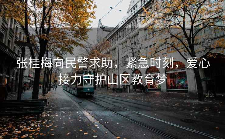 張桂梅向民警求助，緊急時(shí)刻，愛心接力守護(hù)山區(qū)教育夢(mèng)
