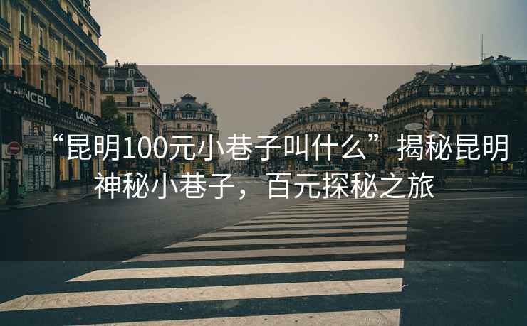 “昆明100元小巷子叫什么”揭秘昆明神秘小巷子，百元探秘之旅