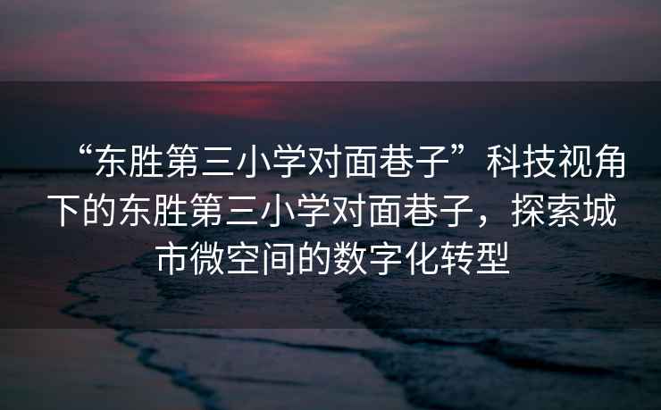 “東勝第三小學(xué)對面巷子”科技視角下的東勝第三小學(xué)對面巷子，探索城市微空間的數(shù)字化轉(zhuǎn)型
