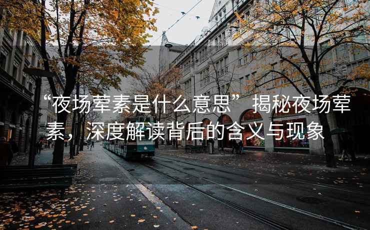 “夜場葷素是什么意思”揭秘夜場葷素，深度解讀背后的含義與現(xiàn)象