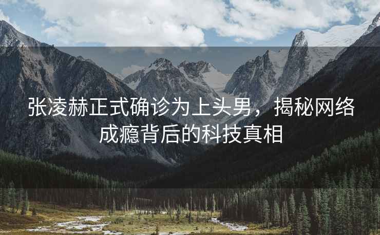 張凌赫正式確診為上頭男，揭秘網(wǎng)絡(luò)成癮背后的科技真相