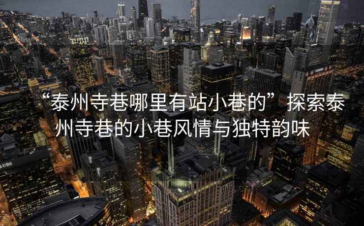 “泰州寺巷哪里有站小巷的”探索泰州寺巷的小巷風(fēng)情與獨(dú)特韻味